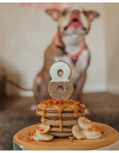 Healthy Pancakes for Your Pup – A Treat Like No Other!
