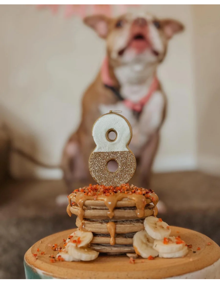 Healthy Pancakes for Your Pup – A Treat Like No Other!