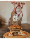 Healthy Pancakes for Your Pup – A Treat Like No Other!