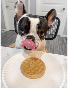 100% Natural Dog Peanut Butter | Made in USA | Healthy & Nutritious Treat for Your Pup